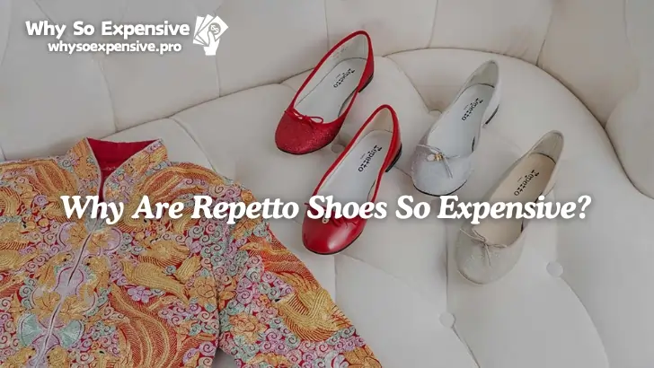 Why Are Repetto Shoes So Expensive